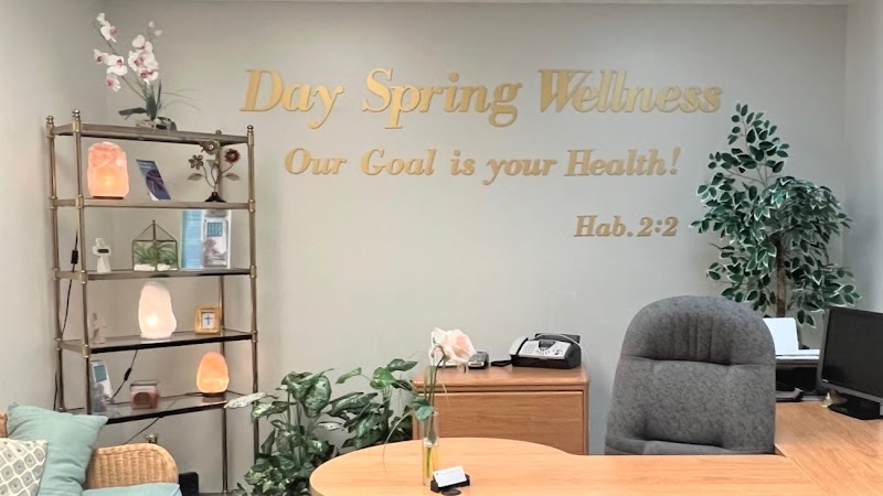 Day Spring Wellness Center