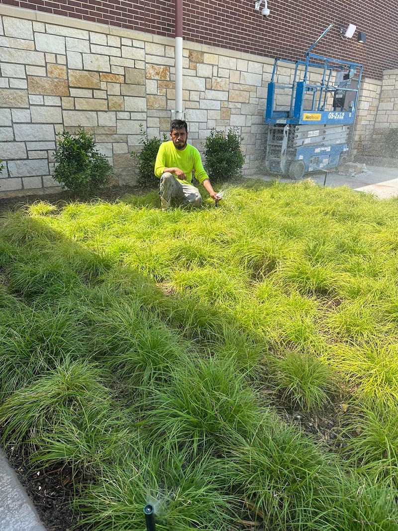 EL PRIMO LAWN CARE & SPRINKLER REPAIR