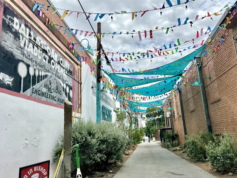 Ellison Valencia Gallery