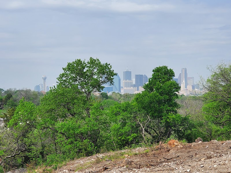 Jungle Experts Tree Service