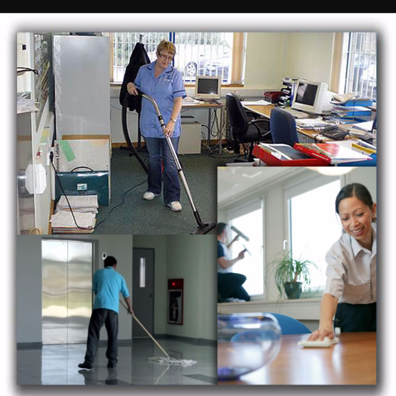 mickeys cleaning services