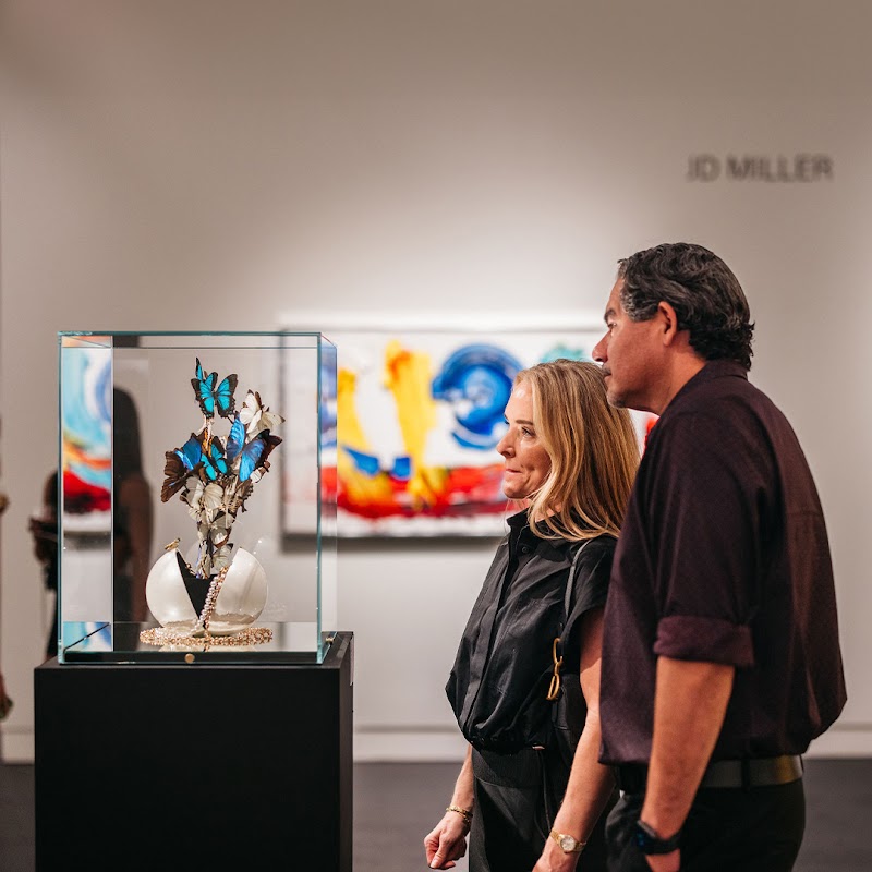 Samuel Lynne Galleries