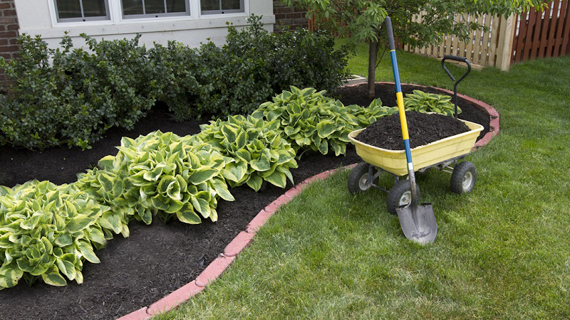 Tony's Lawn Care